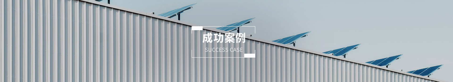 成功案例